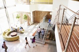 Management Liability